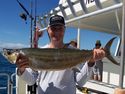 Scaley Mackeral